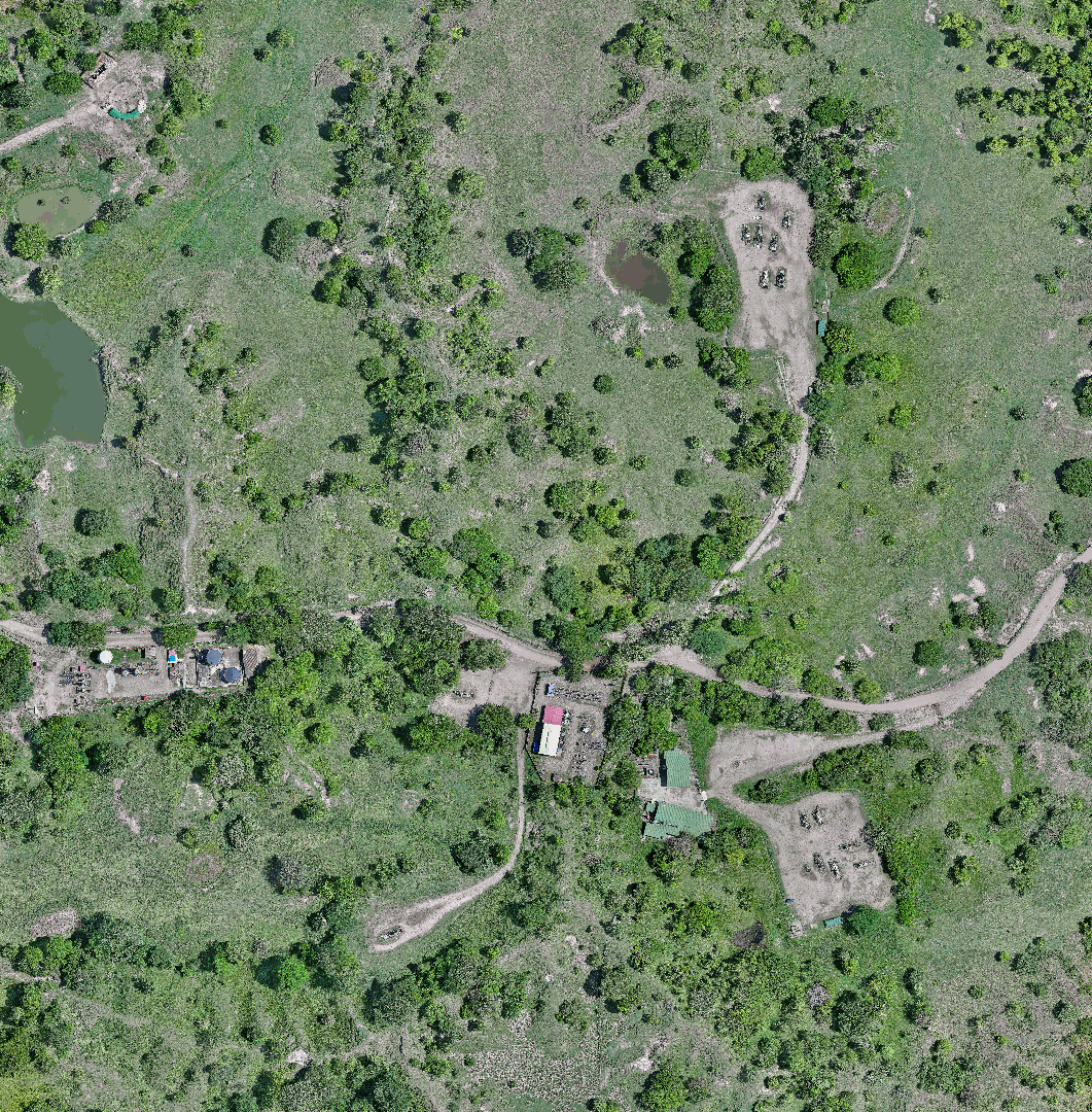 Campo Palagua-Caipal